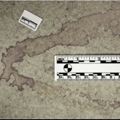 bludstain2 (|Unkle bootleg|)