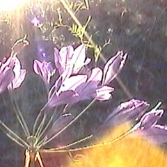 flowers - phem remix (prod. cobalt)