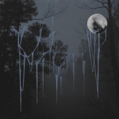 Night Drizzle