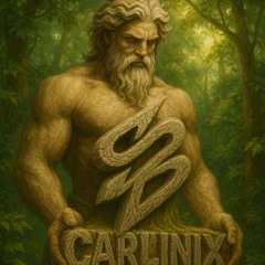 Carlinix X AbstratoClub 04.07.25
