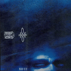 Rhinocervs- RH 12 (1)