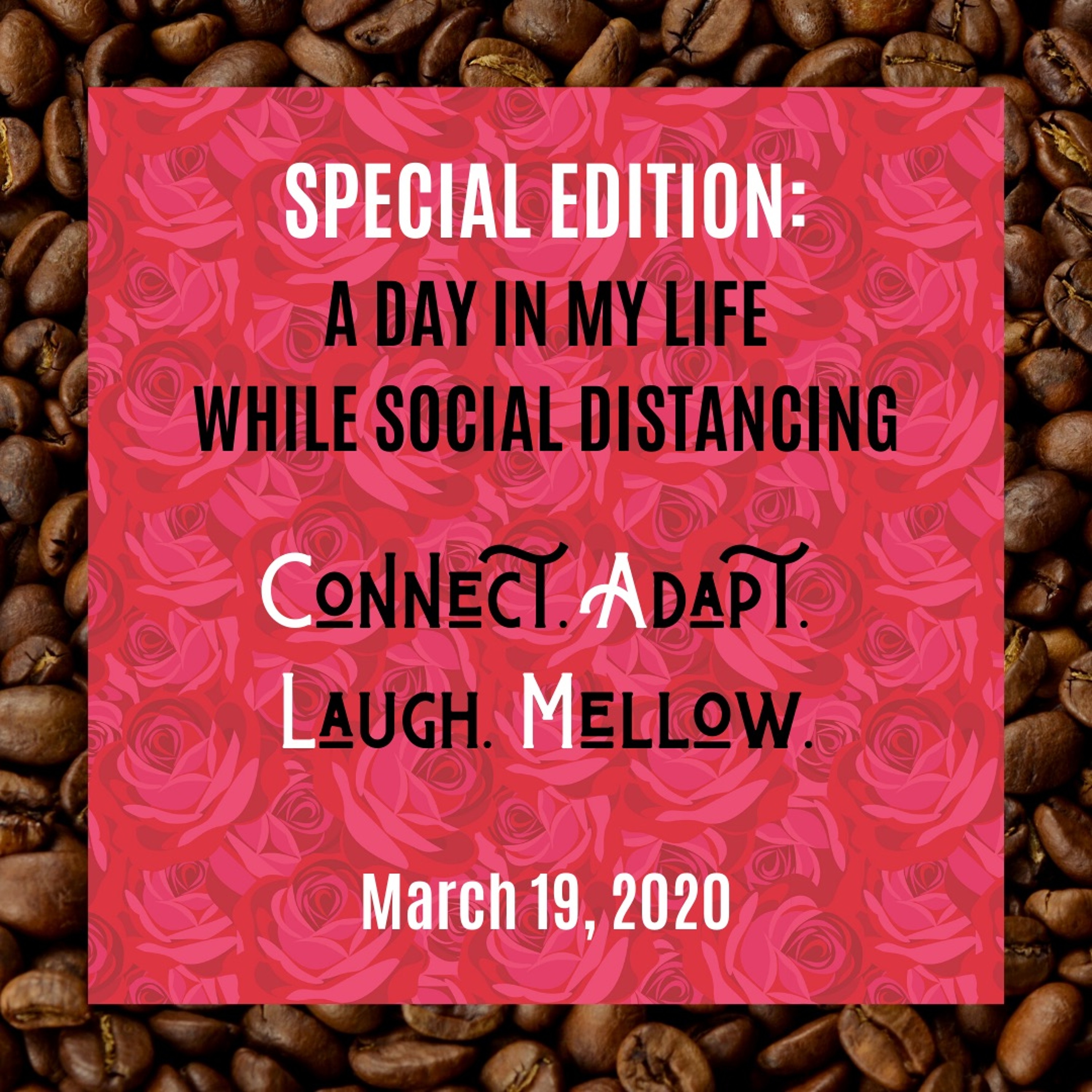 SES1E2: A Day Of Social Distancing (From the IP Archives) episode artwork