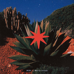 MONé - White Lotus  [KVLTÖ Records LTD / KVLTD011]