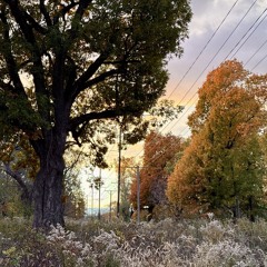 i dont know how to talk about this (prod. @tiresss @whyapril @16kibo)