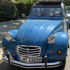 plażowe leżenie / fifa 99