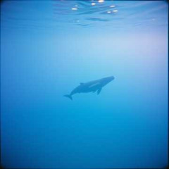 Oh No/Yes IDK (TGIF)