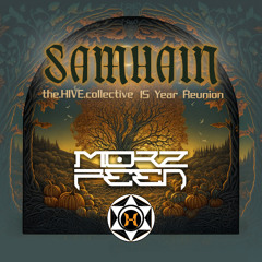 TheHIVEcollective 15 Year Reunion 2025