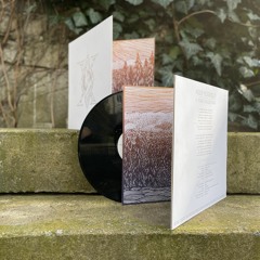 Schallfeld - Fallen Idol (Snippet)