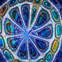 💎🎶Unexpected Musical Gems 🎶💎