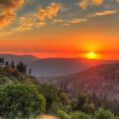 Night Fall ft Ray Paneah