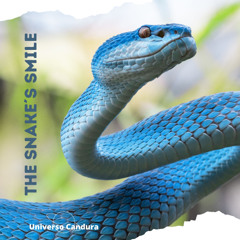 The snake's smile