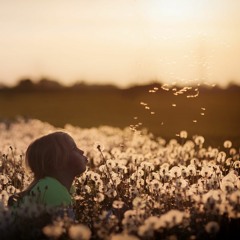 Akros - Flowers
