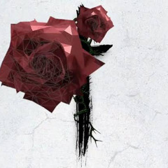 Mashup The Box and Roses Imanbek Remix