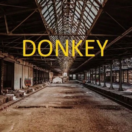 DONKEY  -----------------   SamplerRemix