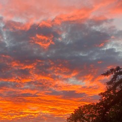 tu n’es pas la miff