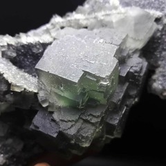 Miya Guy #3 Downtempo