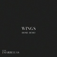 Wings (Home Demo)