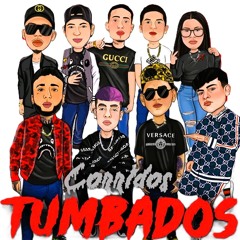Corridos Tumbados Mix 2024  Corridos Belicos Nuevos  Peso Pluma Fuerza Regida Xavi By KOKI SELECTOR