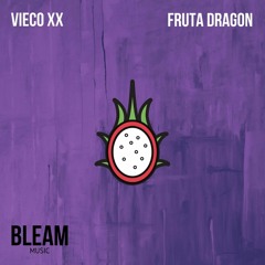 Premiere: Vieco xx - Fruta Dragon [Bleam Music]