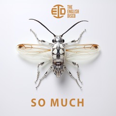 So Much - Lateman Remix