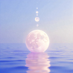 MOONLIGHT STATIC (Preview)
