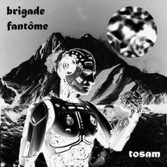 Brigade Fantôme - Tosam