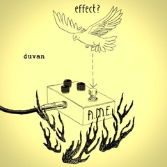 duvan