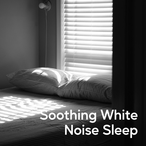 Continuous Night Stream