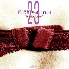 Nice & Slow 23 (Tender Lovin')