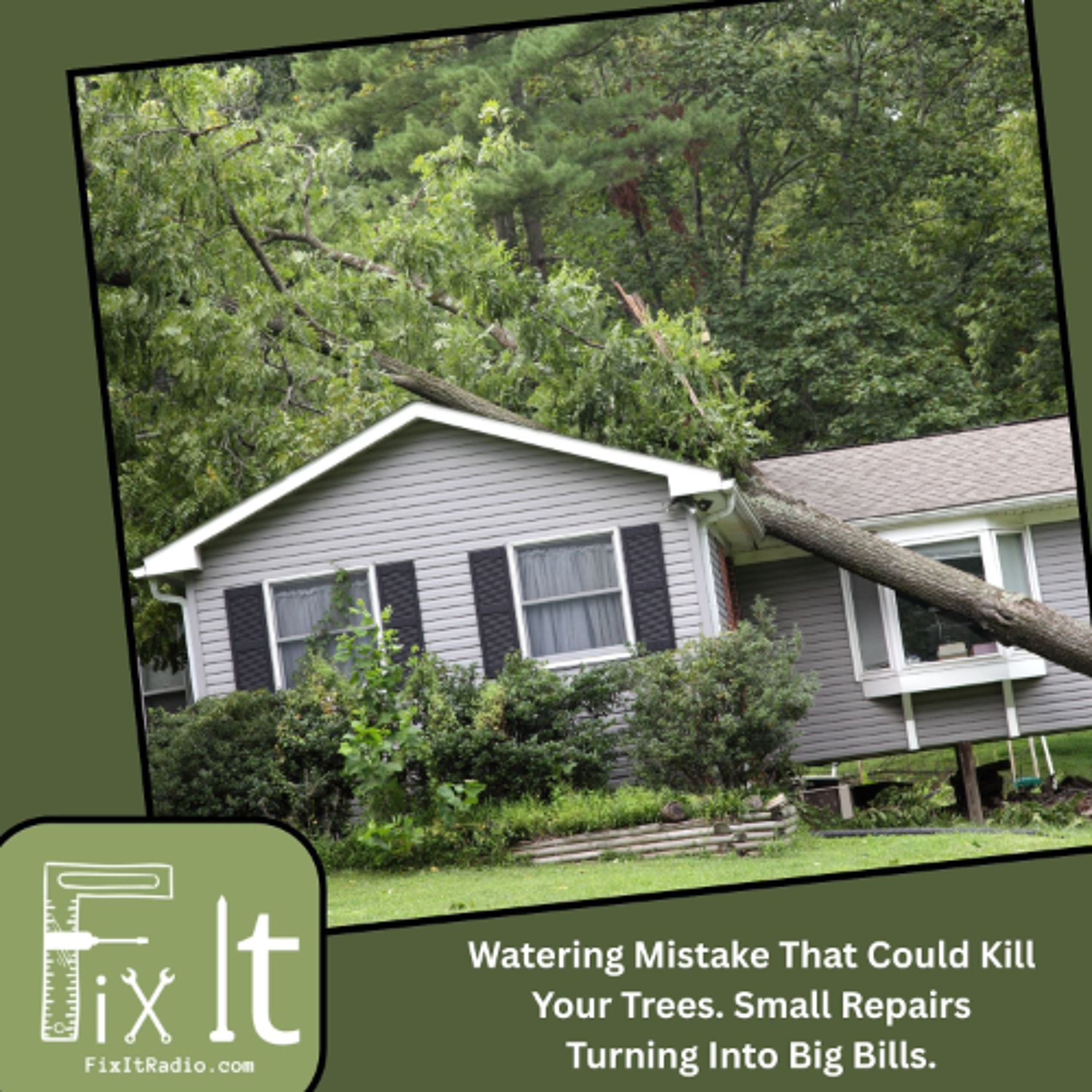 Watering Mistake That Could Kill Your Trees. Small Repairs Turning Into Big Bills. (4-25-26) episode artwork