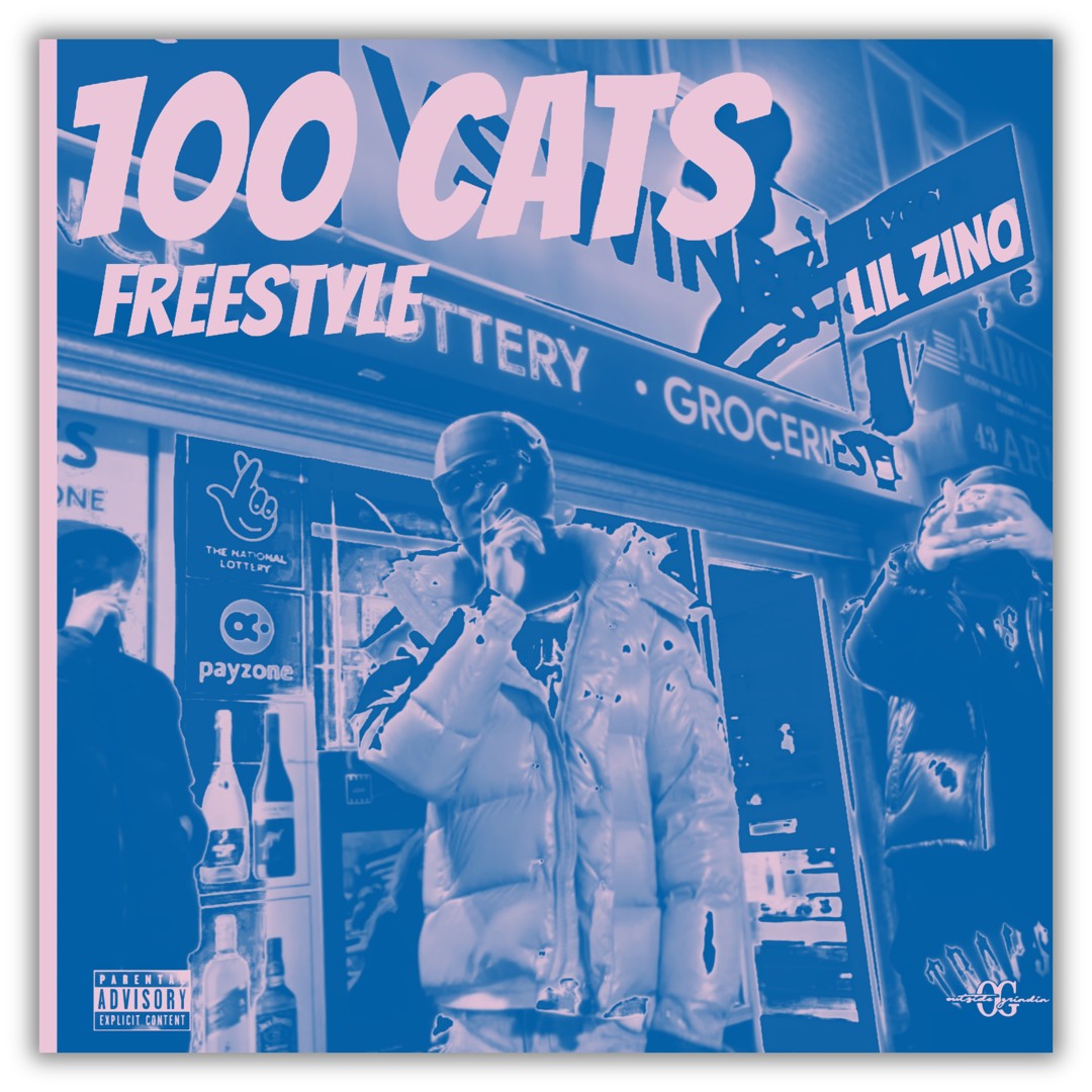 Hzinoo Rapper Stream 100 cats freestyle by Lil Zino | Listen online for free on ...