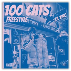100 cats freestyle