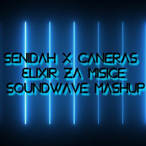 Stream Senidah X Caneras - Elixir Za Misice (Soundwave Mashup) by Soundwave  | Listen online for free on SoundCloud