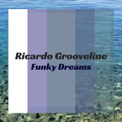 Ricardo Grooveline - Funky Dreams (robot In Love Version)