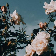 Remixes And Rareties