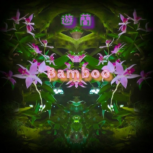 遊蘭 Bamboo