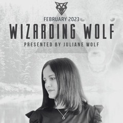 Wizarding Wolf Radio | February 2023 | DI.FM Progressive & Proton Radio & Saturo Sounds