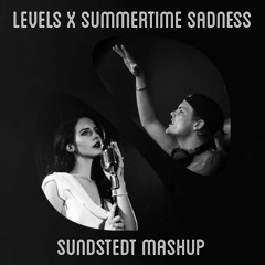 Avicii VS Lana Del Rey - Levels X Summertime Sadness (Sundstedt Mashup)