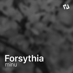 Forsythia