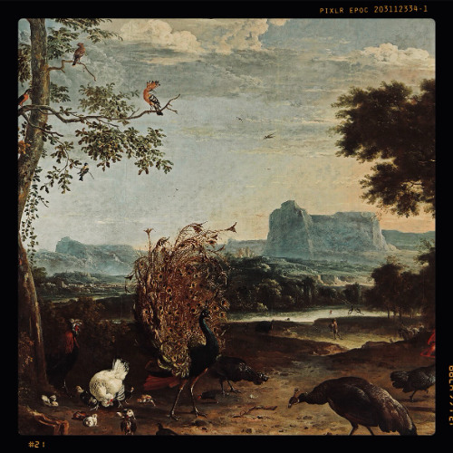 Sunday Moods 1. - The Nectar Of Now