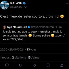 Kalash X Aya Nakamura - VIP (Exclu)