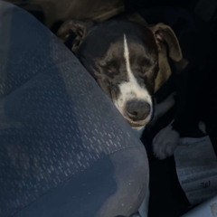 Figure It Out! - (2023 Unfinished Open)