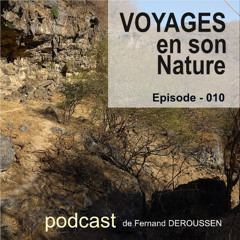 VSN010_OMAN_Wadi Darbat_Dhofar_F Deroussen