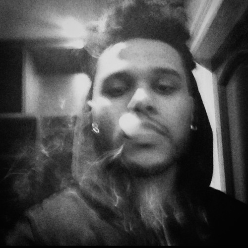 Given Up On Me but it's XO  The Host