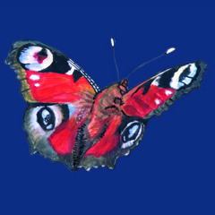 Schmetterlinge (2004)