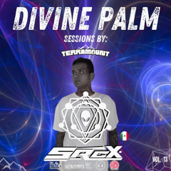 DIVINE PALM SESSIONS VOL. 13 / SRCX