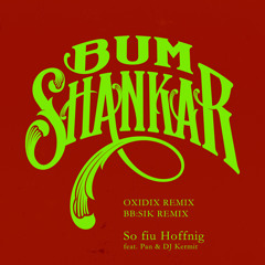 So fiu Hoffnig (Oxidix Remix) [feat. DJ Kermit & Pan]
