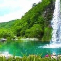 this place