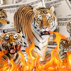 start of the day shit