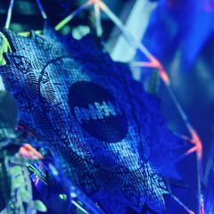 HAKUBA WINTER FESTIVAL 2025 CLOSING SET